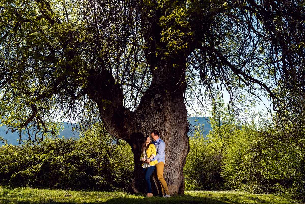 Preboda en los montes de Toledo