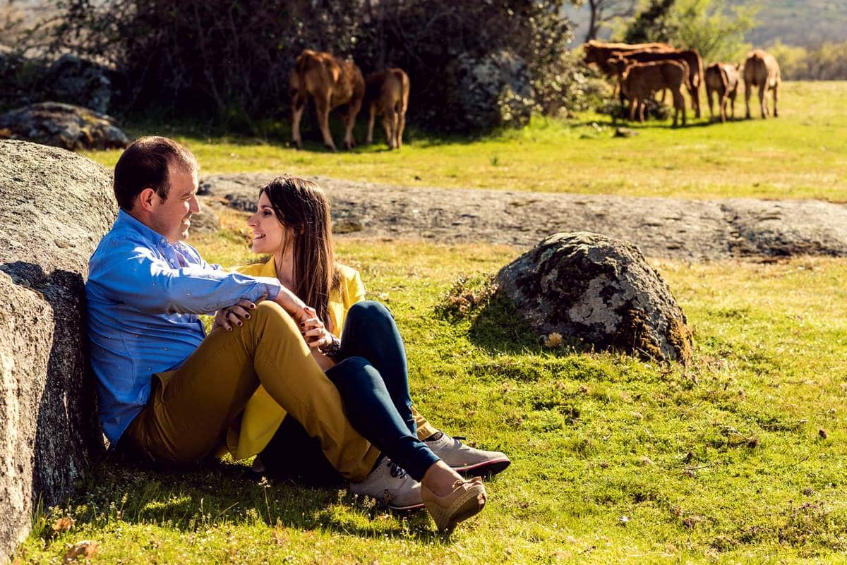 Preboda en los montes de Toledo