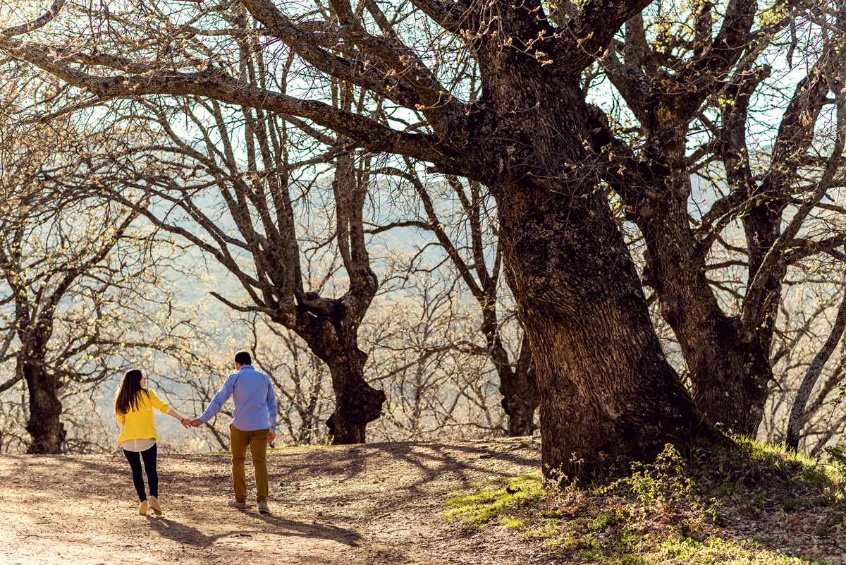 Preboda en los montes de Toledo