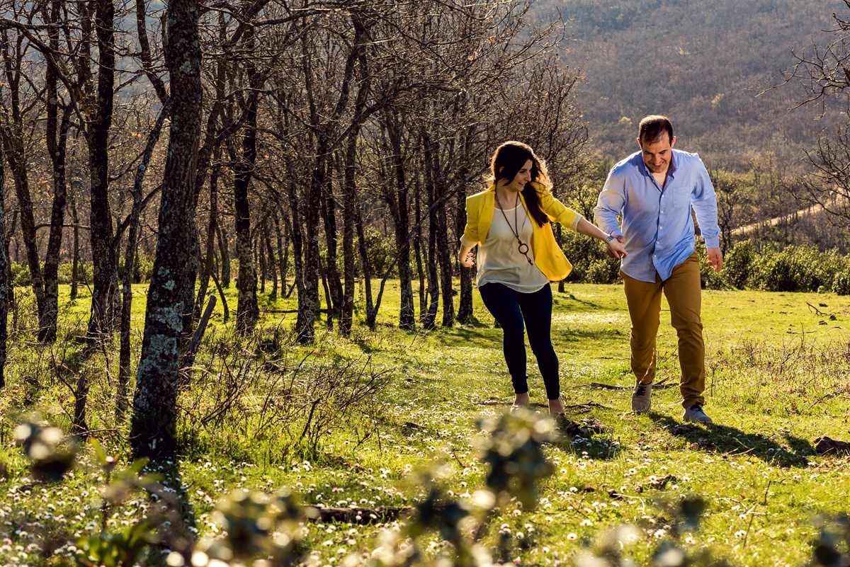 Preboda en los montes de Toledo