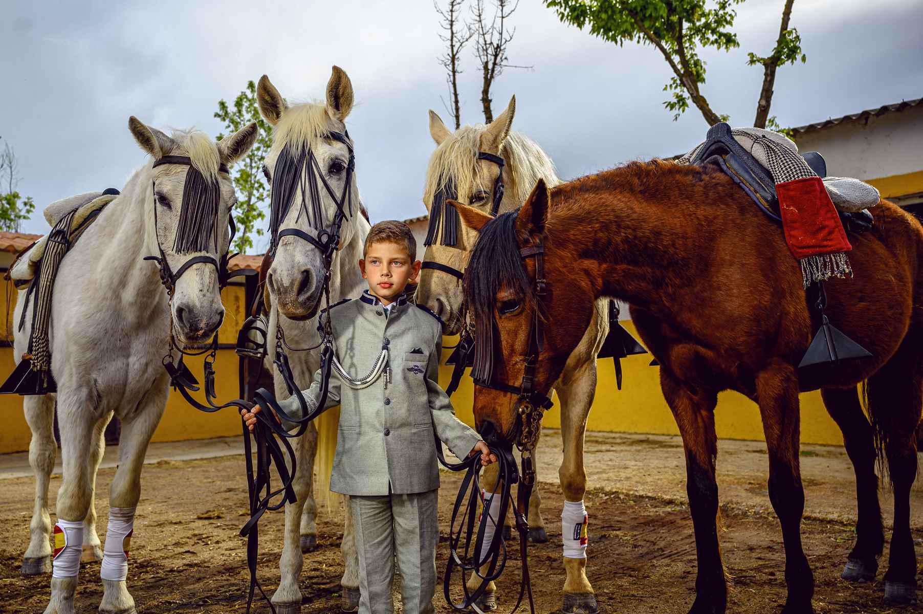 Fotos de Comunión con cuatro caballos