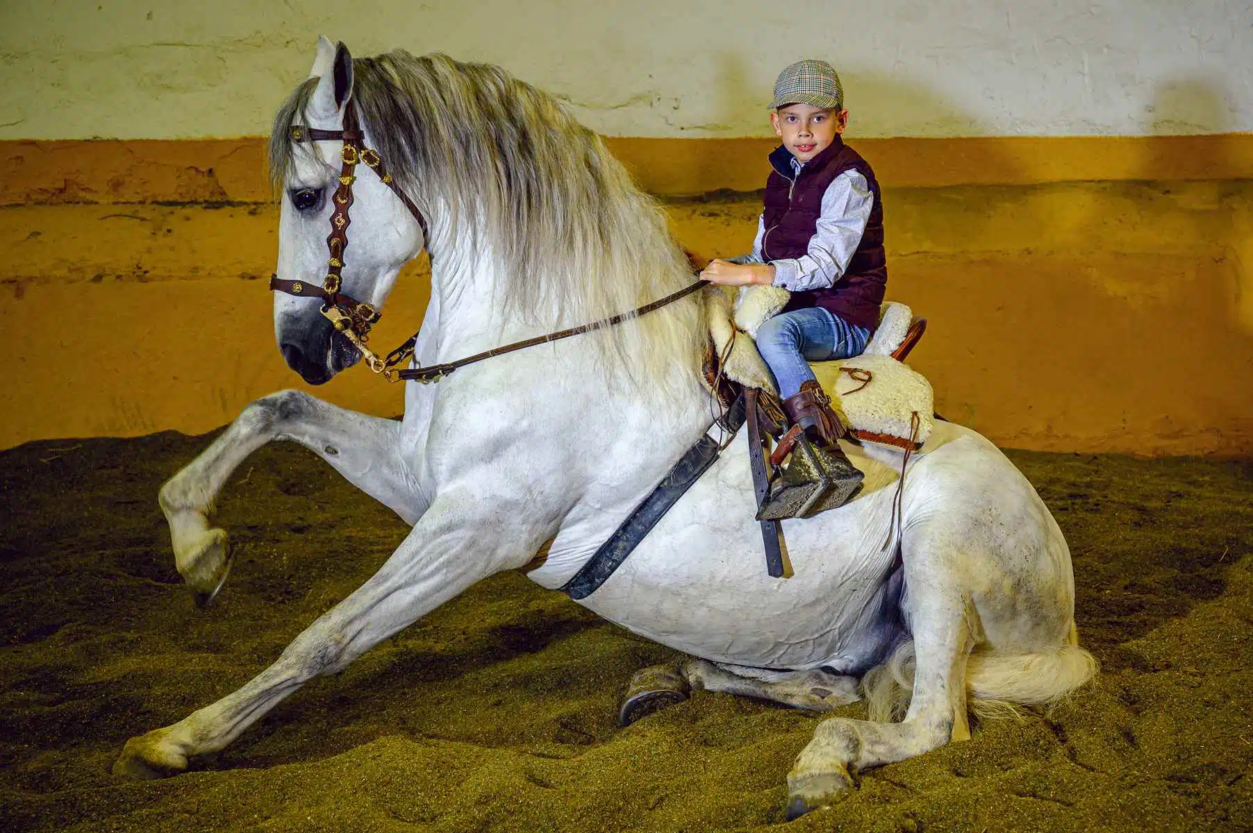 Niño de Comunión con caballo