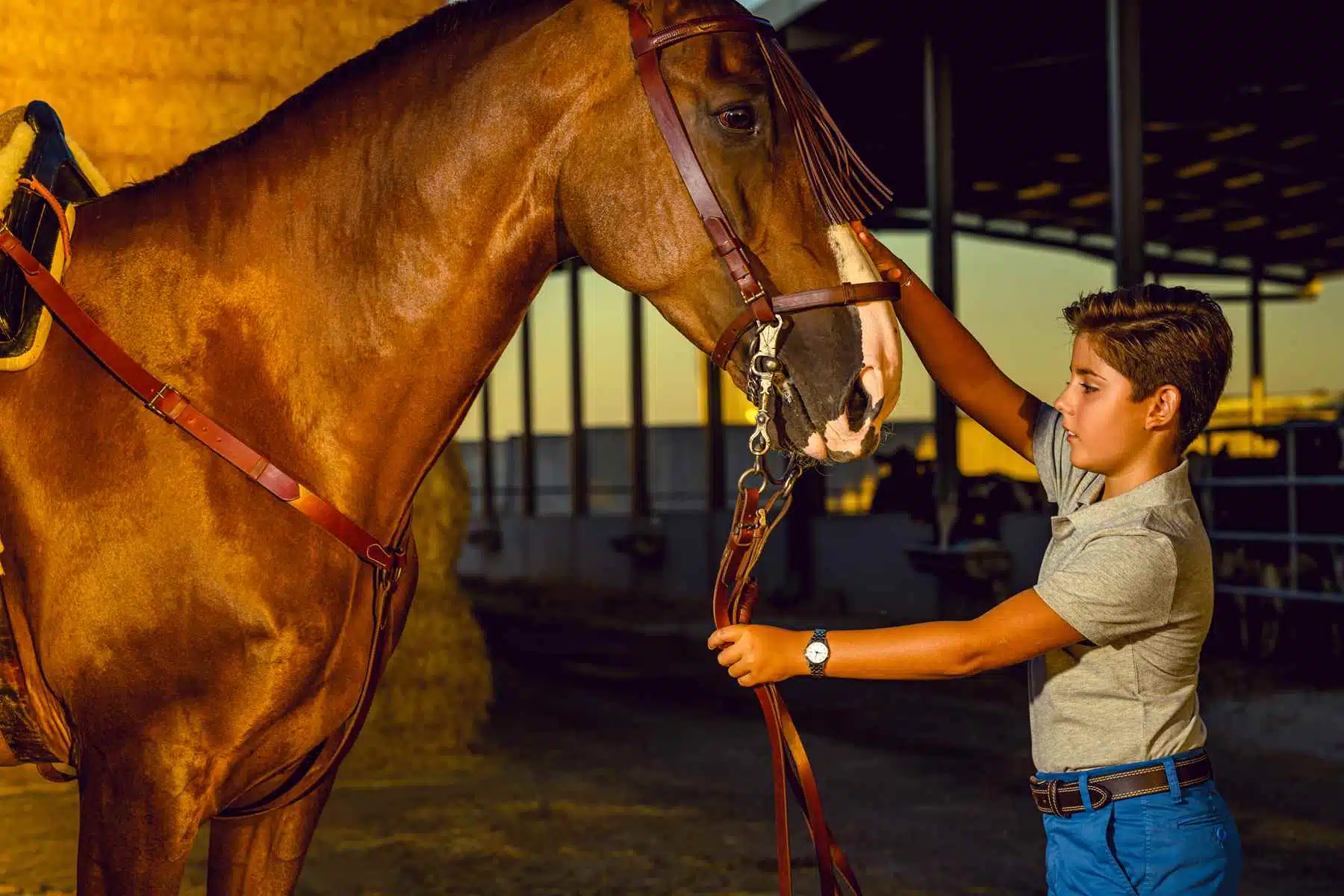 Fotos de Comunión con caballos en una granja